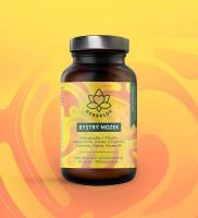 Herbalus BYSTRÝ MOZEK 60 kapslí