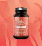 Herbalus ZDRAVÉ KLOUBY 90 tablet