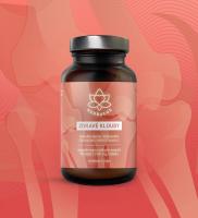 Herbalus ZDRAVÉ KLOUBY 90 tablet