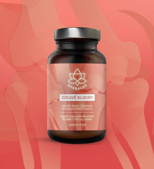 Herbalus ZDRAVÉ KLOUBY 90 tablet