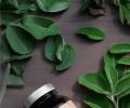 Herbalus ASHWAGANDHA standardizovaný 10% extrakt 120 kapslí