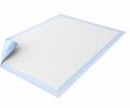 DAILEE Bed Normal 60x60 cm inkontinenční savé podložky 30ks